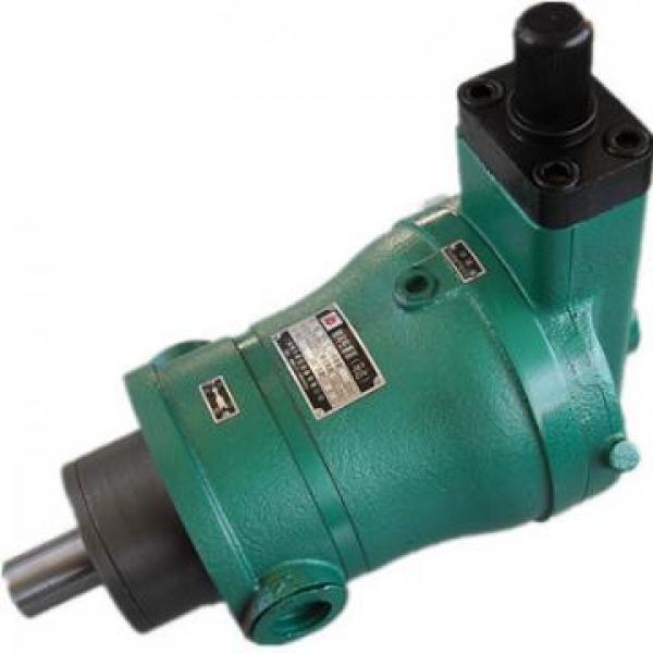 63YCY14-1B Original hydraulisk pump #1 image