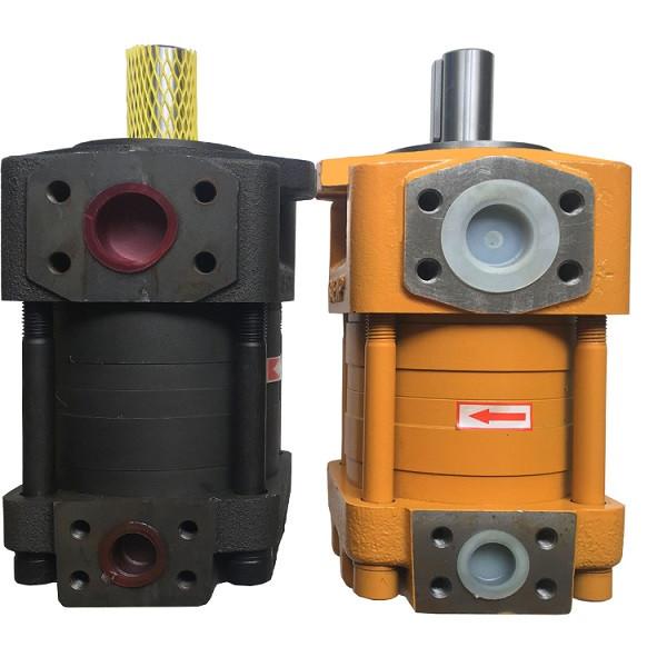 R900517812  Z2FS 10-5-3X/V Hot Sale Pump #2 image