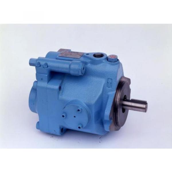 V15A1RX-95S14 Hot Sale Pump #2 image