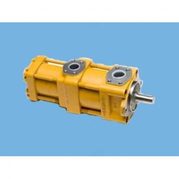 R900442260  SL10 PA2-4X Hot Sale Pump #2 image