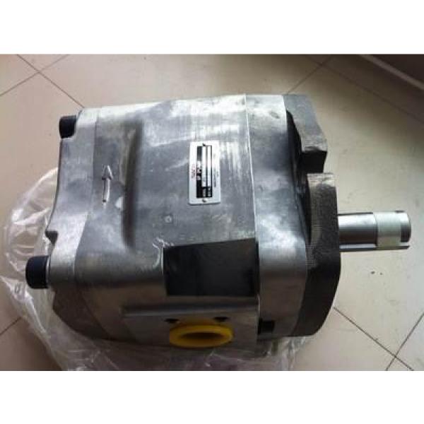 PV29-2R1D-J02 Hydraulisk pump #2 image