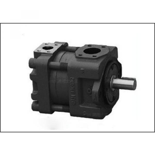 PV29-2R1D-J02 Hydraulisk pump #1 image